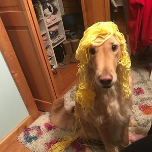 Meet your Posher, Larae